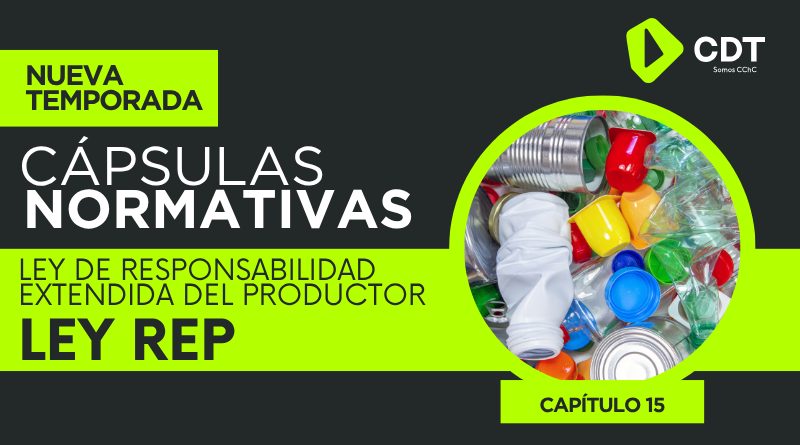 Imagen del video